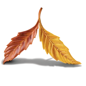 Delaware Autumn Leaves PNG 06202024
