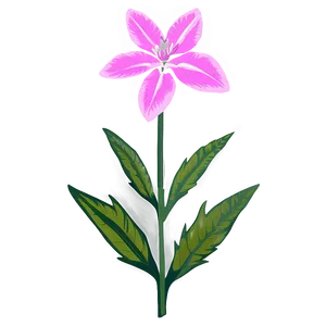Delaware State Flower PNG 87