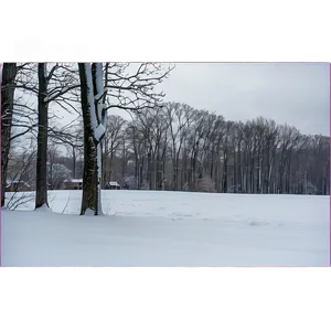 Delaware Winter Snowscape Png 26 PNG image