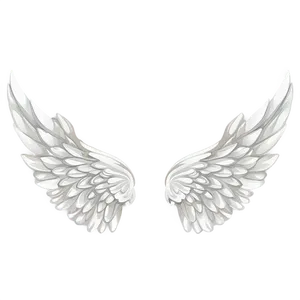 Delicate Angel Wings Pattern PNG Rju