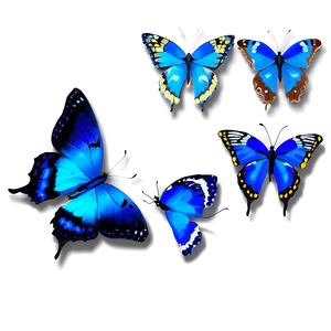 Delicate Blue Butterflies Png 06132024 PNG image