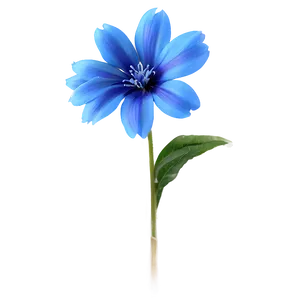 Delicate Blue Flower Png 05242024 PNG image