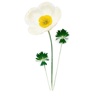 Delicate Buttercup Png Sth81 PNG image