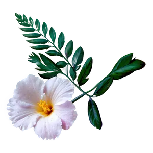 Delicate Floral PNG Jic17 PNG