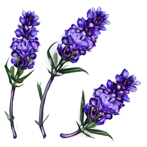 Delicate Lavender Petals PNG Eoo
