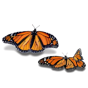 Delicate Monarch Butterflies PNG Mkl53