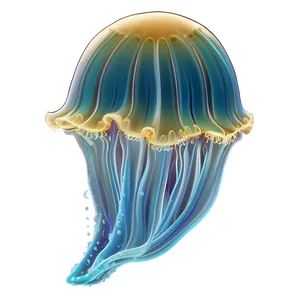 Delicate Moon Jelly Outline PNG 36 PNG