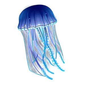 Delicate Moon Jelly Outline PNG Feh PNG