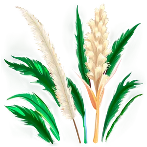 Delicate Pampas Detail PNG 06272024 PNG