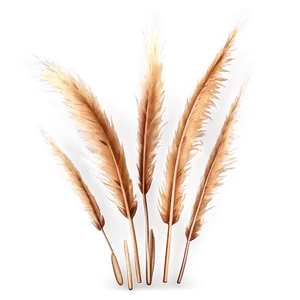 Delicate Pampas Detail PNG 99 PNG