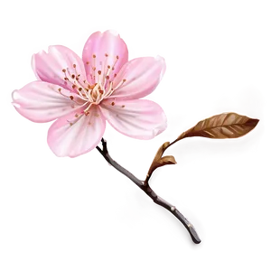 Delicate Pink Blossom Png 21 PNG image