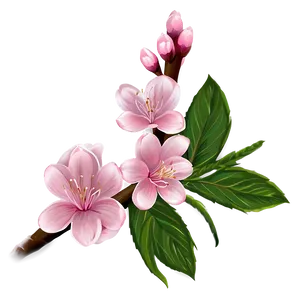 Delicate Pink Blossom Png Idf PNG image