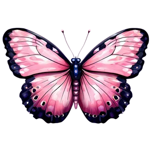 Delicate Pink Butterfly Picture Png 06212024 PNG image