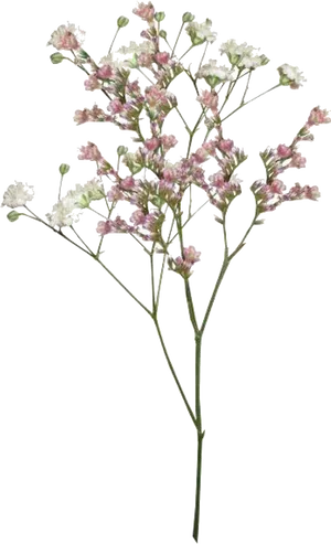 Delicate Pink Flowers Transparent Background PNG