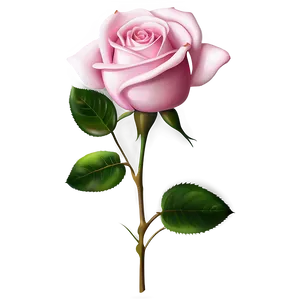 Delicate Pink Rose PNG Laj49