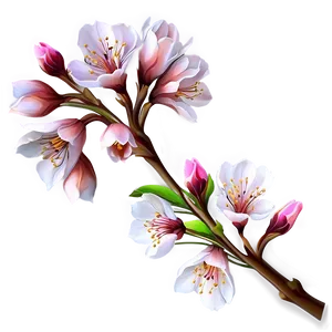 Delicate Spring Blossom PNG Lux79 PNG