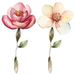 Delicate Watercolor Florals Png 5 PNG image