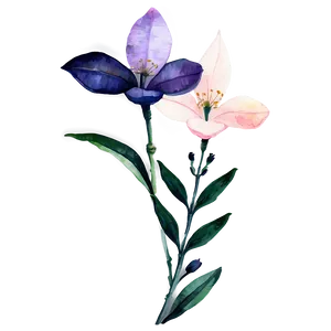 Delicate Watercolor Florals PNG Mho
