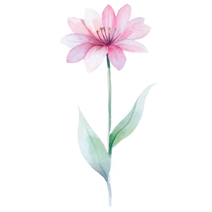 Delicate Watercolor Flower PNG 06272024