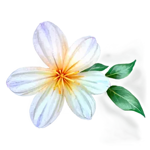 Delicate Watercolor Flower PNG Xra82