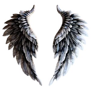 Delicate White Wings Png 78 PNG image