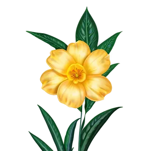 Delicate Yellow Flowers PNG 06122024