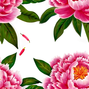 Delightful Peony Picture PNG 18 PNG
