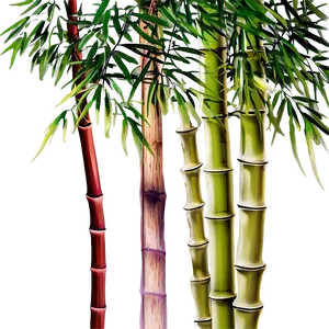 Dense Bamboo Trees PNG Rmi67 PNG