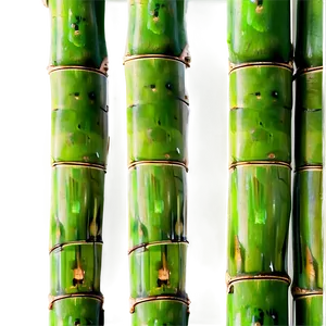 Dense Bamboo Trees Png Tjr PNG image