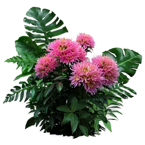 Dense Flower Bush Png Jxn83 PNG image