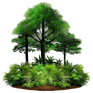 Dense Forest Landscape Png Mwg41 PNG image