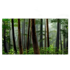 Dense Forest Landscape Png Vqv38 PNG image