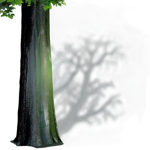Dense Forest Tree Shadow PNG 59