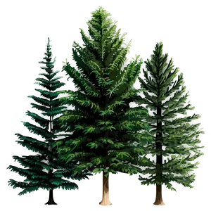 Dense Forest Trees PNG 05042024