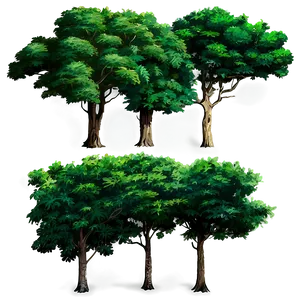 Dense Forest Trees PNG Nlf10