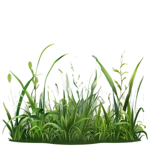 Dense Grass Clipart PNG 06272024