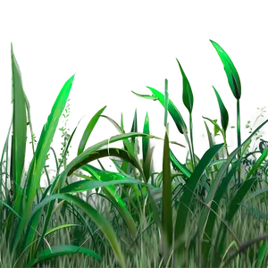 Dense Grass Clipart PNG Nfo