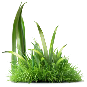 Dense Green Grass PNG Evo84 PNG