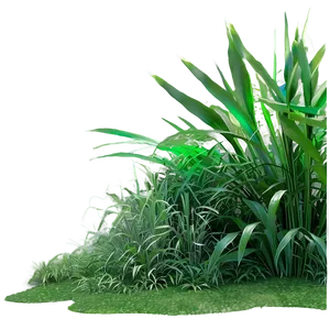 Dense Jungle Grass Png Pct PNG image