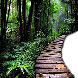 Dense Jungle Trekking Route PNG 06202024