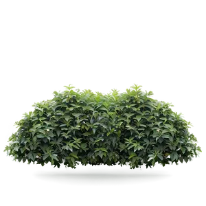 Dense Shrub Png Fvi PNG image