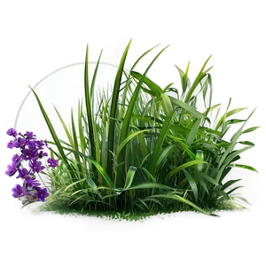 Dense Wild Grass PNG 06292024