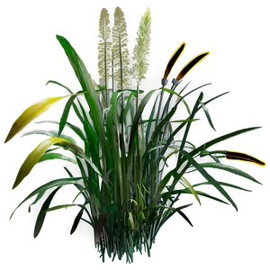 Dense Wild Grass PNG Vrv89 PNG