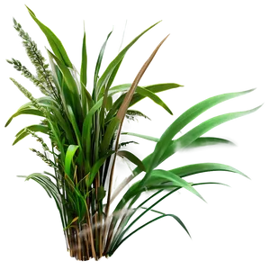 Dense Wild Grass PNG Yvk
