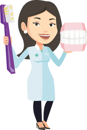 Dentist Cartoon Holding Toothbrushand Teeth Model.png PNG