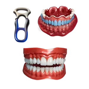 Dentures For Chewing Efficiency Png 06272024 PNG image