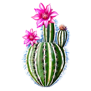 Desert Cactus Flower PNG Erk