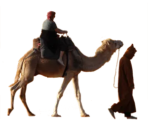 Desert Camel Ridewith Guide
