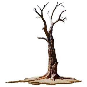 Desert Dead Tree PNG 05252024