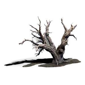 Desert Dead Tree PNG Pod25 PNG